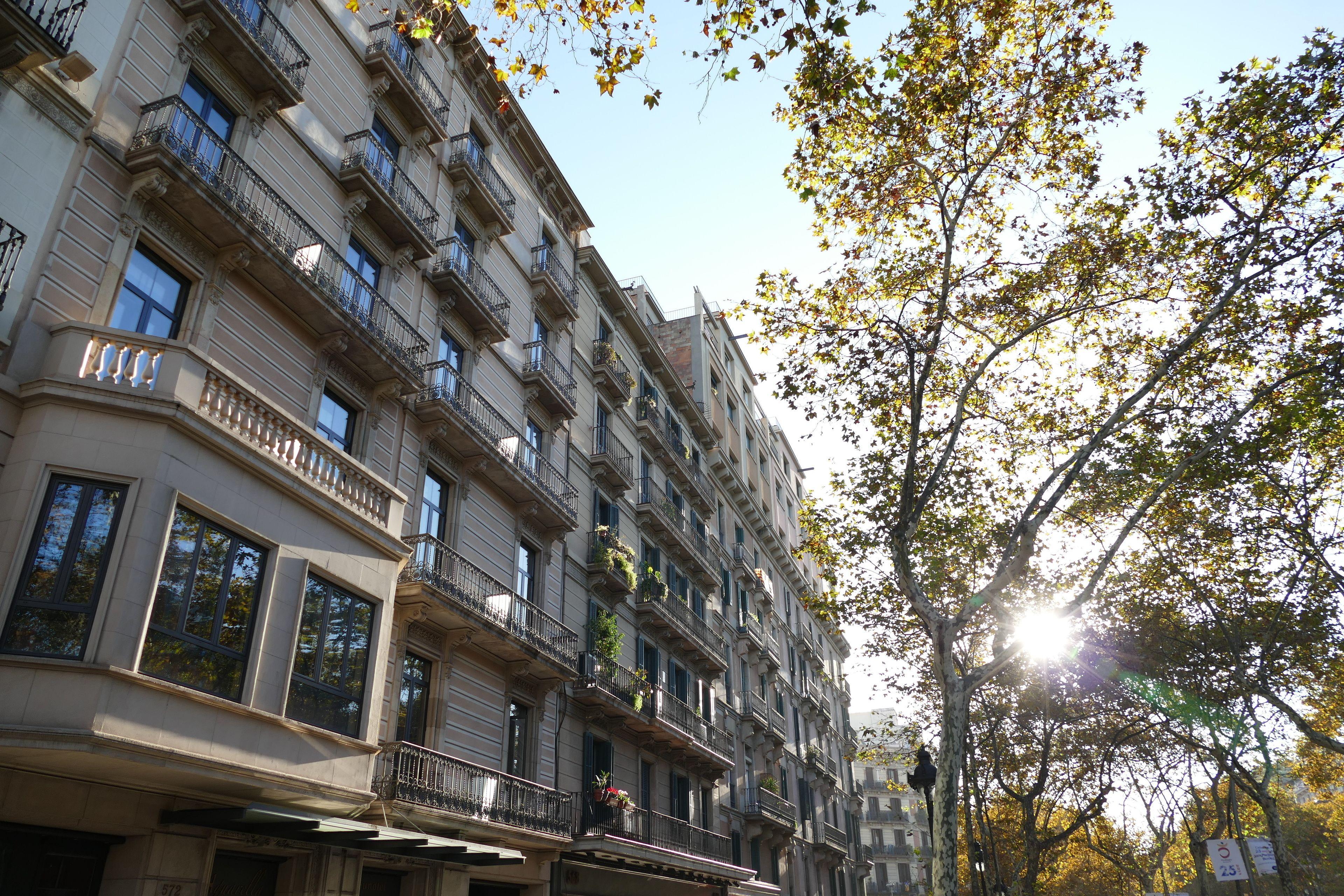 Petit Palace Eixample — Photos 2